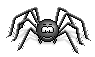 :spinne2